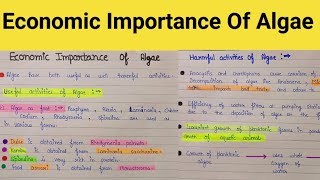 Economic importance of algae bsc 1st year  Economic importance of algae [upl. by Jyoti]