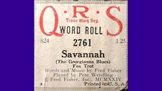 Pete Wendling playes The Georgia Blues Savannah Player Piano Roll [upl. by Prentice]