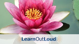 The Dhammapada  Full Audiobook [upl. by Baiel]