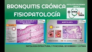 EPOC BRONQUITIS CRÓNICA FISIOPATOLOGÍA  GuiaMed [upl. by Noda595]