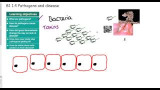 GCSE science Invasion of the pathogens [upl. by Nylecsoj722]