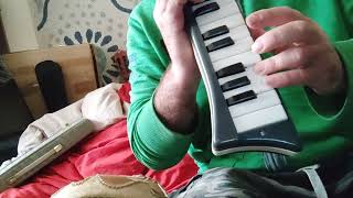 VINTAGE HOHNER MELODICA PIANO26 VS VINTAGE HOHNER MELODICA SOPRANO  1 [upl. by Jenifer999]