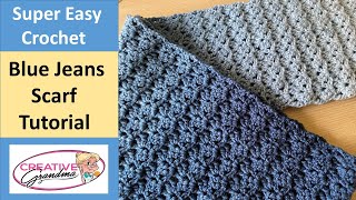 EASY CROCHET Blue Jeans Gradient Scarf  One Row Repeat lionbrand [upl. by Eissej]