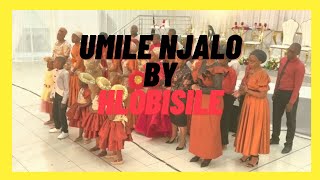 Umile Njalo  Bride amp Groom Choir  Mr and Mrs Ntuli Wedding Celebration [upl. by Agneta]