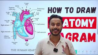 anatomy mbbs 1st year notes  important diagrams of anatomy mbbs  how to draw antomy diagrams [upl. by Vincelette691]