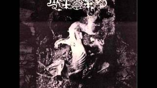 Mütiilation  The Hanged Priest [upl. by Esnofla432]