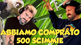 ABBIAMO COMPRATO 500 SCIMMIE [upl. by Namsaj]