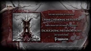 Despondency  Divine Ceremonial Mutilation  2019 [upl. by Cherrita285]