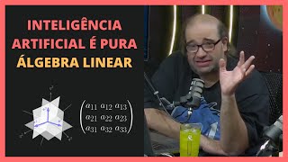 A MATEMÁTICA DE UM MODELO DE REDE NEURAL  Felipe Hime e Sapiens Chat [upl. by Krysta756]