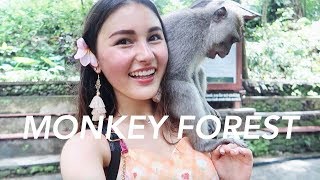 Bitten By A Monkey amp Finding Vegan Heaven⎮Bali Trip 2018 [upl. by Tips195]