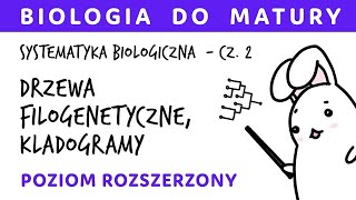 Systematyka biologiczna 2  Drzewa filogenetyczne kladogramy filogramy  zadania maturalne [upl. by Ritch]