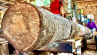 coconut wood 10 m processing factory how to operate make a beam 7x14 [upl. by Dorahs]