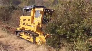 T360 Forestry Mulcher [upl. by Dolli]