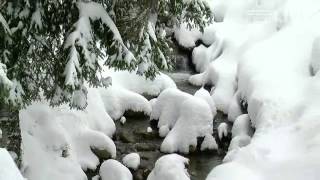 Alberschwende  Schnee deckt Ländle zu [upl. by Nolyad]