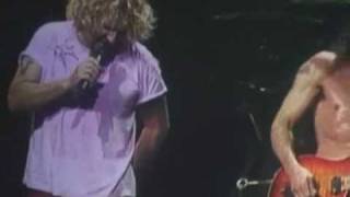 VAN HALEN  panama live 2004 [upl. by Nosaes863]