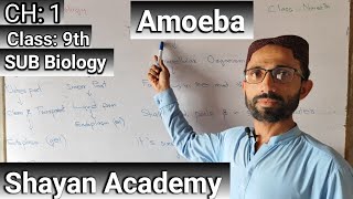 Amoeba  Biology  Unicellular  shayanacademy ayazhussain [upl. by Diann]