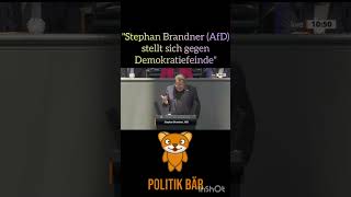 quotStephan Brandner AfD stellt sich gegen Demokratiefeindequot [upl. by Morvin]