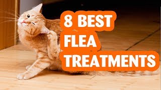 8 Best Cat Flea Infestation Treatment for Cat of 2019 [upl. by Ytsirt332]