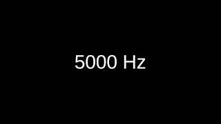 5 kHz 5000 Hz sine wave test tone [upl. by Moriah]