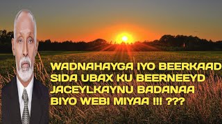 kabanle  Maxamuud m xasan kabanle heestii Jaceylkaynu badanaa Biyo webi miyaa  maxamed yare hees [upl. by Ymma]