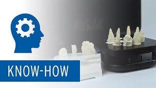 Multi Die Scan Tutorial with Ceramill Map scanners [upl. by Jamnis]