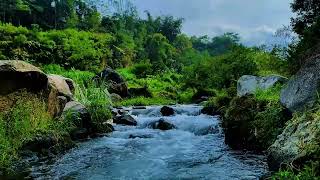 Serene River Flow ASMR  CrystalClear Water Sounds for Relaxation [upl. by Aisitel755]