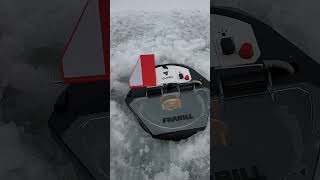 Frabill Vypr tipup on Leech Lake [upl. by Oliy]