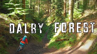 Dalby Forest Mtb  Black world cup route and Red trail [upl. by Nosrej449]