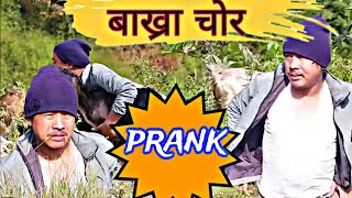 बाख्रा चोर  bakhra chor new nepali prank  alish rai vlogprank  alish rai 20  alish rai [upl. by Yttik875]