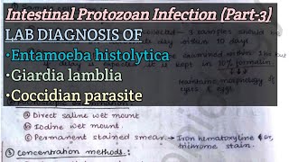 Intestinal Protozoan Infection Part3  Lab diagnosis of Ehistolytica Glamblia Coccidian paras [upl. by Sergio]