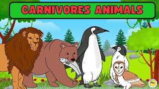 Carnivores Animals Name  Carnivores Animals Names In English  Carnivores Animal Examples amp Picture [upl. by Norved]