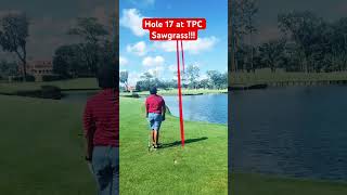 Hole 17 at TPC Sawgrass music golf tpcsawgrass golfcourse golftournament viral [upl. by Seiber169]