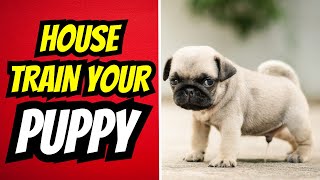 How To House Train A Puppy The Quickest Way Possible [upl. by Treulich]