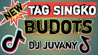 TAG SINGKO DANCE  BUDOTS  DJ JUVANY REMIX tiktokviral2024 [upl. by Hippel]