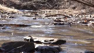 Pewits Nest state natural area WI [upl. by Idac]