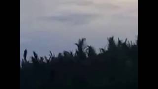 Penampakan Hantu Kuyang Asli di Bontang Kalimantan Waktu Siang Heri 29 Desember 2016 HEBOH [upl. by Elwood36]