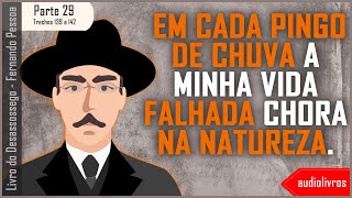 Livro do Desassossego  Parte 29  Trechos 139 a 142  Fernando Pessoa audiolivro fernandopessoa [upl. by Lleynod]