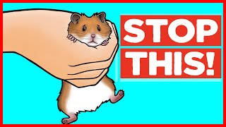 18 Things Hamsters Hate [upl. by Emolas]