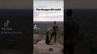 The Ranger K9 unit foryou rangers dogs patrol bush apu wildlife shorts short [upl. by Lorna]