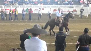 Cala de Caballo del Campeón Charro Completo [upl. by Benco147]