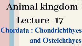 Chondrichthyes and Osteichthyes Animal kingdom Lecture  17 [upl. by Yhtur52]