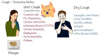 Types of cough dry and wet cough Common causes of different cough [upl. by Aneelad]