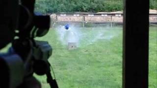 Woodleigh vs Hornady vmax 308 win [upl. by Norud939]