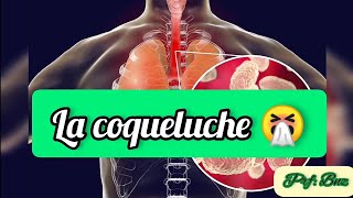 Le coqueluche 🥵 définition  les symptômes  le diagnostic et le traitement [upl. by Mukund299]