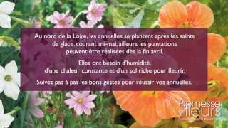 Planter des plantes annuelles [upl. by Fabozzi763]