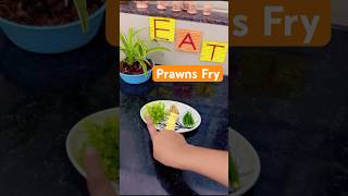 Prawns Fry  Rawa prawns fry recipe  Prawns  marathi receipe nonvegrecipe seafood minivlog [upl. by Thessa831]