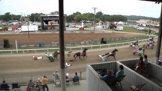 Loose Horses on the Harness Racing Track Big Wreck [upl. by Retsof25]