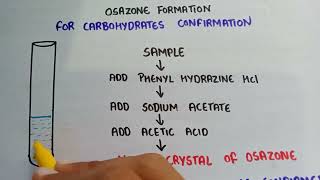 Osazone test for carbohydrates  test for carbohydrates  confirmation test for sugars [upl. by Wolfy220]