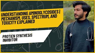 Understanding Aminoglycosides  Mechanism Uses Spectrum and Toxicity Explained [upl. by Sadnac]