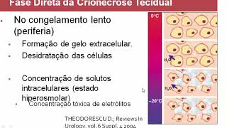 Palestra CRIOCIRURGIA na Medicina Veterinária por Alexandre Figueiredo 2014 [upl. by Shien]